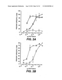 AGONIST AND ANTAGONIST PEPTIDES OF CARCINOEMBRYONIC ANTIGEN (CEA) diagram and image