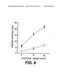 AGONIST AND ANTAGONIST PEPTIDES OF CARCINOEMBRYONIC ANTIGEN (CEA) diagram and image