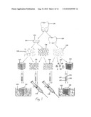 ENHANCED MEDICAL IMPLANT diagram and image