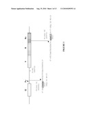 Use of Polynucleotides Encoding Small Acid-Soluble Spore Protein for Inhibiting Bacterial Cell Growth and/or Treating Bacterial Infections diagram and image