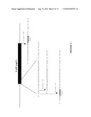 Use of Polynucleotides Encoding Small Acid-Soluble Spore Protein for Inhibiting Bacterial Cell Growth and/or Treating Bacterial Infections diagram and image