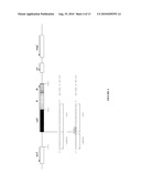 Use of Polynucleotides Encoding Small Acid-Soluble Spore Protein for Inhibiting Bacterial Cell Growth and/or Treating Bacterial Infections diagram and image