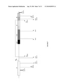 Use of Polynucleotides Encoding Small Acid-Soluble Spore Protein for Inhibiting Bacterial Cell Growth and/or Treating Bacterial Infections diagram and image