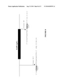 Use of Polynucleotides Encoding Small Acid-Soluble Spore Protein for Inhibiting Bacterial Cell Growth and/or Treating Bacterial Infections diagram and image