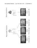 Use of SDF-1 to Improve Ischemic Myocardial Function diagram and image