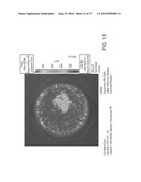 ADHERENT CELLS FROM ADIPOSE OR PLACENTA TISSUES AND USE THEREOF IN THERAPY diagram and image