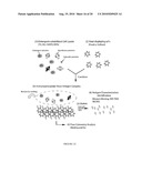 Blood-Brain Barrier Targeting Anti-bodies diagram and image