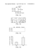 PEPTIDES AND METHODS FOR THE TREATMENT OF GLIOMAS AND OTHER CANCERS diagram and image