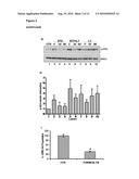 PEPTIDES AND METHODS FOR THE TREATMENT OF GLIOMAS AND OTHER CANCERS diagram and image