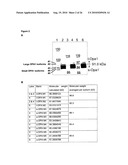 METHOD FOR TREATING DISEASES RELATED TO MITOCHONDRIAL DYSFUNCTION diagram and image