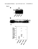 METHOD FOR TREATING DISEASES RELATED TO MITOCHONDRIAL DYSFUNCTION diagram and image