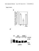 METHOD FOR TREATING DISEASES RELATED TO MITOCHONDRIAL DYSFUNCTION diagram and image