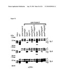 METHOD FOR TREATING DISEASES RELATED TO MITOCHONDRIAL DYSFUNCTION diagram and image