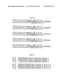 Anti-CD3 Antibody Fromulations diagram and image