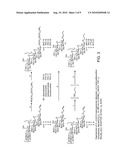 SYNTHETIC ANTI-CANDIDA ALBICANS OLIGOSACCHARIDE BASED VACCINES diagram and image