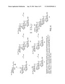 SYNTHETIC ANTI-CANDIDA ALBICANS OLIGOSACCHARIDE BASED VACCINES diagram and image