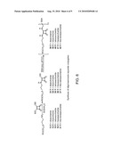 SYNTHETIC ANTI-CANDIDA ALBICANS OLIGOSACCHARIDE BASED VACCINES diagram and image