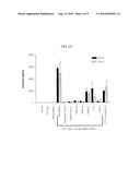 METHOD FOR ENHANCING SERUM STABILITY AND LOWERING IMMUNE RESPONSE OF SIRNA DOWN-REGULATING GENE EXPRESSION OF HBV OR HCV diagram and image