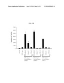 METHOD FOR ENHANCING SERUM STABILITY AND LOWERING IMMUNE RESPONSE OF SIRNA DOWN-REGULATING GENE EXPRESSION OF HBV OR HCV diagram and image