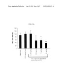 METHOD FOR ENHANCING SERUM STABILITY AND LOWERING IMMUNE RESPONSE OF SIRNA DOWN-REGULATING GENE EXPRESSION OF HBV OR HCV diagram and image