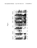 PROTEIN D - AN IGD-BINDING PROTEIN OF HAEMOPHILUS INFLUENZAE diagram and image