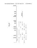 PROTEIN D - AN IGD-BINDING PROTEIN OF HAEMOPHILUS INFLUENZAE diagram and image