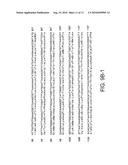 PROTEIN D - AN IGD-BINDING PROTEIN OF HAEMOPHILUS INFLUENZAE diagram and image