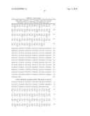 ISOLATED MAMMALIAN MONOCYTE CELL GENES; RELATED REAGENTS diagram and image