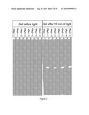 ASSAYS BASED ON DETECTION OF PHOTOBLEACHING REACTION PRODUCTS FROM DYE CATALYTIC COMPLEX diagram and image