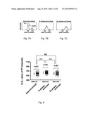 Nuclear localization of Src-family tyrosine kinases is required for growth factor-induced euchromatinization diagram and image