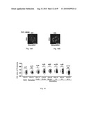 Nuclear localization of Src-family tyrosine kinases is required for growth factor-induced euchromatinization diagram and image