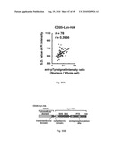 Nuclear localization of Src-family tyrosine kinases is required for growth factor-induced euchromatinization diagram and image