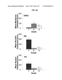 Grading, Staging and prognosing Cancer using Osteopontin-C diagram and image