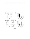 METHOD OF IDENTIFYING AGENTS WHICH MODULATE THE ACTIVITY OF CALCIUM-ACTIVATED CHLORIDE CHANNEL diagram and image