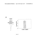 METHOD OF IDENTIFYING AGENTS WHICH MODULATE THE ACTIVITY OF CALCIUM-ACTIVATED CHLORIDE CHANNEL diagram and image