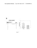 METHOD OF IDENTIFYING AGENTS WHICH MODULATE THE ACTIVITY OF CALCIUM-ACTIVATED CHLORIDE CHANNEL diagram and image