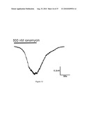 METHOD OF IDENTIFYING AGENTS WHICH MODULATE THE ACTIVITY OF CALCIUM-ACTIVATED CHLORIDE CHANNEL diagram and image