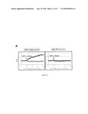 METHOD OF IDENTIFYING AGENTS WHICH MODULATE THE ACTIVITY OF CALCIUM-ACTIVATED CHLORIDE CHANNEL diagram and image