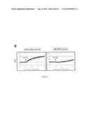 METHOD OF IDENTIFYING AGENTS WHICH MODULATE THE ACTIVITY OF CALCIUM-ACTIVATED CHLORIDE CHANNEL diagram and image