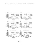 METHODS AND SYSTEMS FOR DETECTION OF STOICHIOMETRY BY FORSTER RESONANCE ENERGY TRANSFER diagram and image