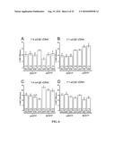 METHODS AND SYSTEMS FOR DETECTION OF STOICHIOMETRY BY FORSTER RESONANCE ENERGY TRANSFER diagram and image