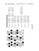 METHODS AND SYSTEMS FOR DETECTION OF STOICHIOMETRY BY FORSTER RESONANCE ENERGY TRANSFER diagram and image