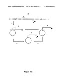 GENERATION OF NUCLEIC ACID MOLECULES diagram and image