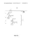 GENERATION OF NUCLEIC ACID MOLECULES diagram and image