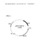 PREPARING METHOD FOR (S)-3HYDROXYBUTYRIC ACID AND (S)-3 HYDROXYBUTYRATE ESTER USING RECOMBINANT MICROORGANISM diagram and image