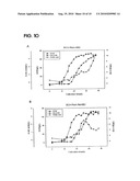 PREPARING METHOD FOR (S)-3HYDROXYBUTYRIC ACID AND (S)-3 HYDROXYBUTYRATE ESTER USING RECOMBINANT MICROORGANISM diagram and image