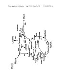 BIOFUEL PRODUCTION BY RECOMBINANT MICROORGANISMS diagram and image