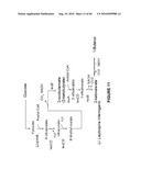 BIOFUEL PRODUCTION BY RECOMBINANT MICROORGANISMS diagram and image