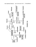 BIOFUEL PRODUCTION BY RECOMBINANT MICROORGANISMS diagram and image