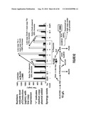 BIOFUEL PRODUCTION BY RECOMBINANT MICROORGANISMS diagram and image